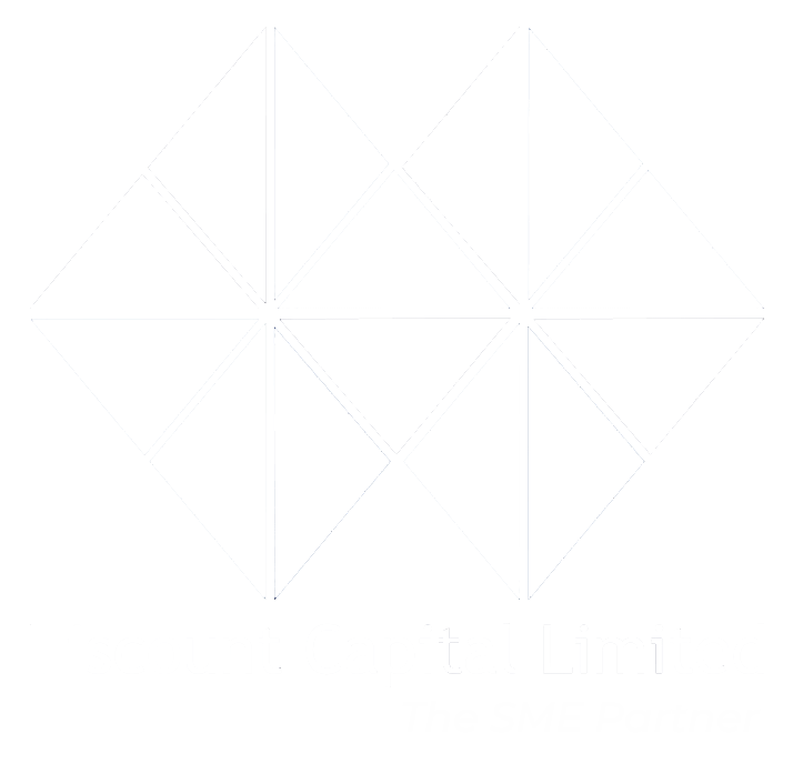 Discount Capital Limited